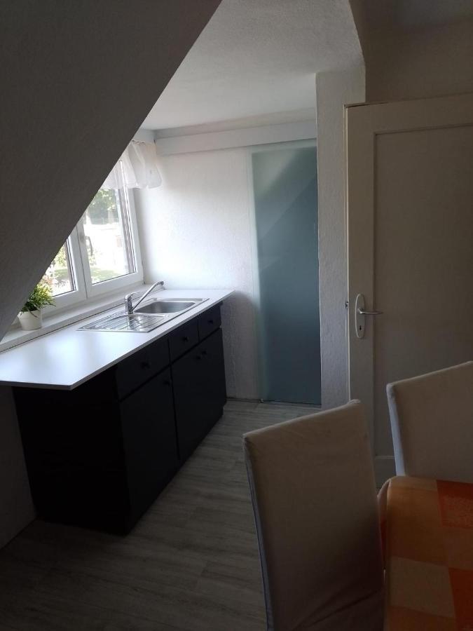 Apartment Biesnitz ゲルリッツ エクステリア 写真