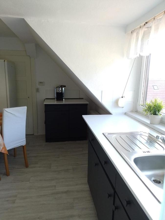 Apartment Biesnitz ゲルリッツ エクステリア 写真